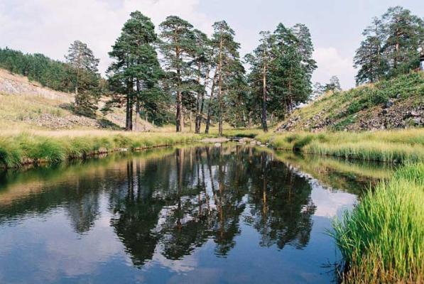 Images of Zlatibor